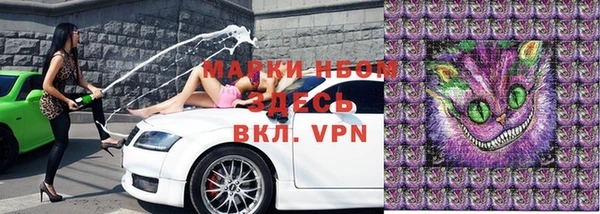 дмт Мегион