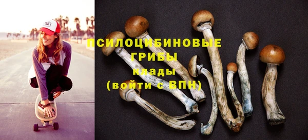 мяу мяу мука Медвежьегорск