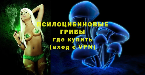 ПСИЛОЦИБИНОВЫЕ ГРИБЫ Медногорск